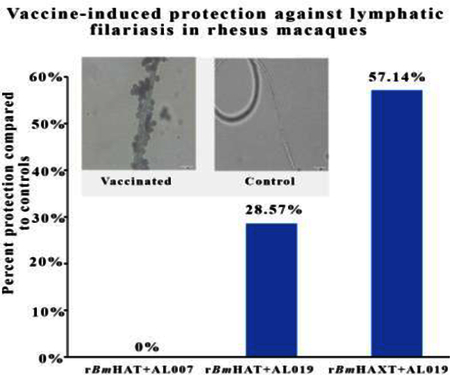 graphic file with name nihms-973335-f0001.jpg