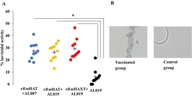 Fig. 8.