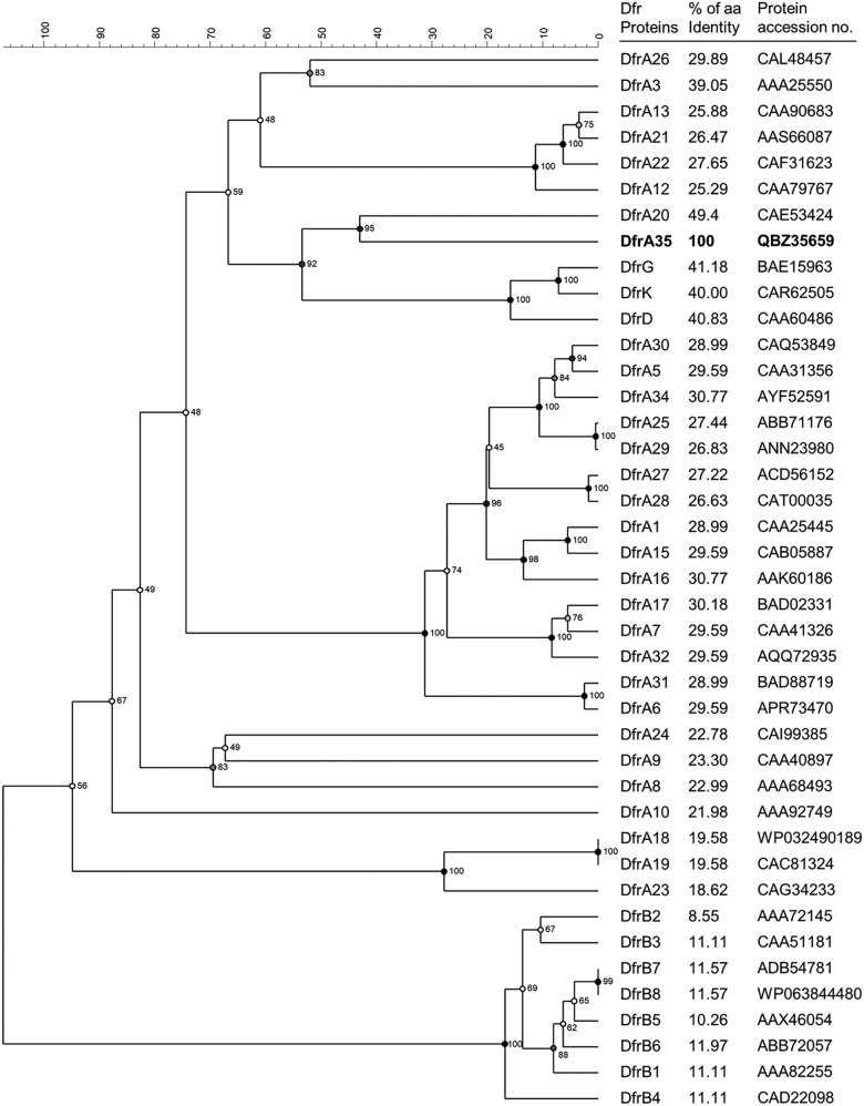 FIG 1