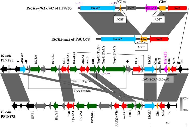 FIG 2