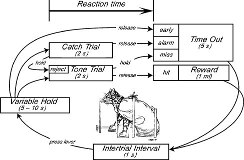 FIG. 1