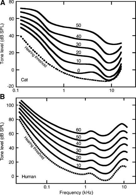 FIG. 7