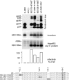 FIG 7
