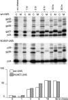 FIG 2