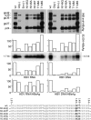 FIG 4