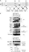 FIG 8