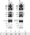 FIG 6