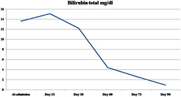 Figure 2