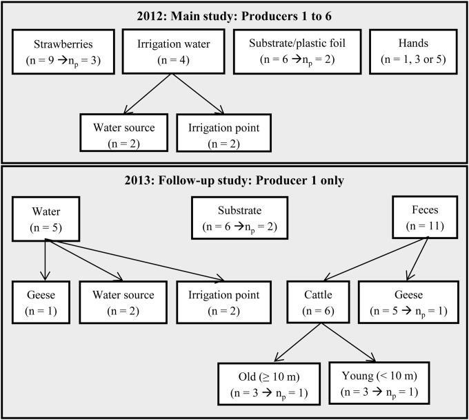 FIG 1