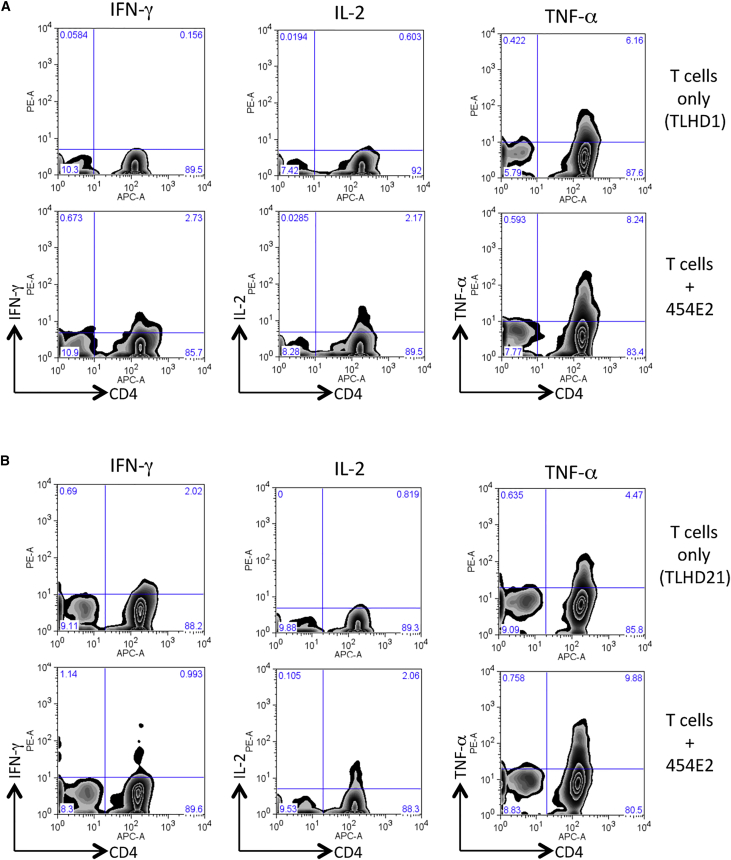 Figure 5