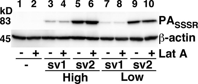 FIG. 4.