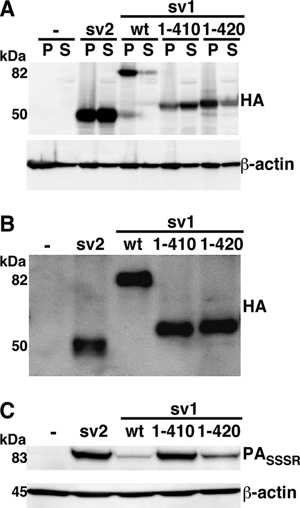 FIG. 5.