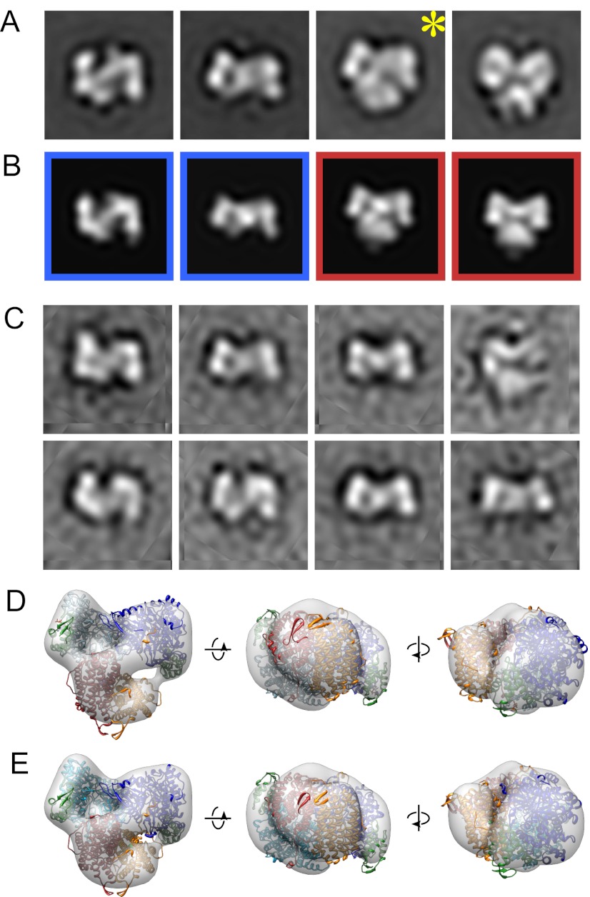 Fig. 4.