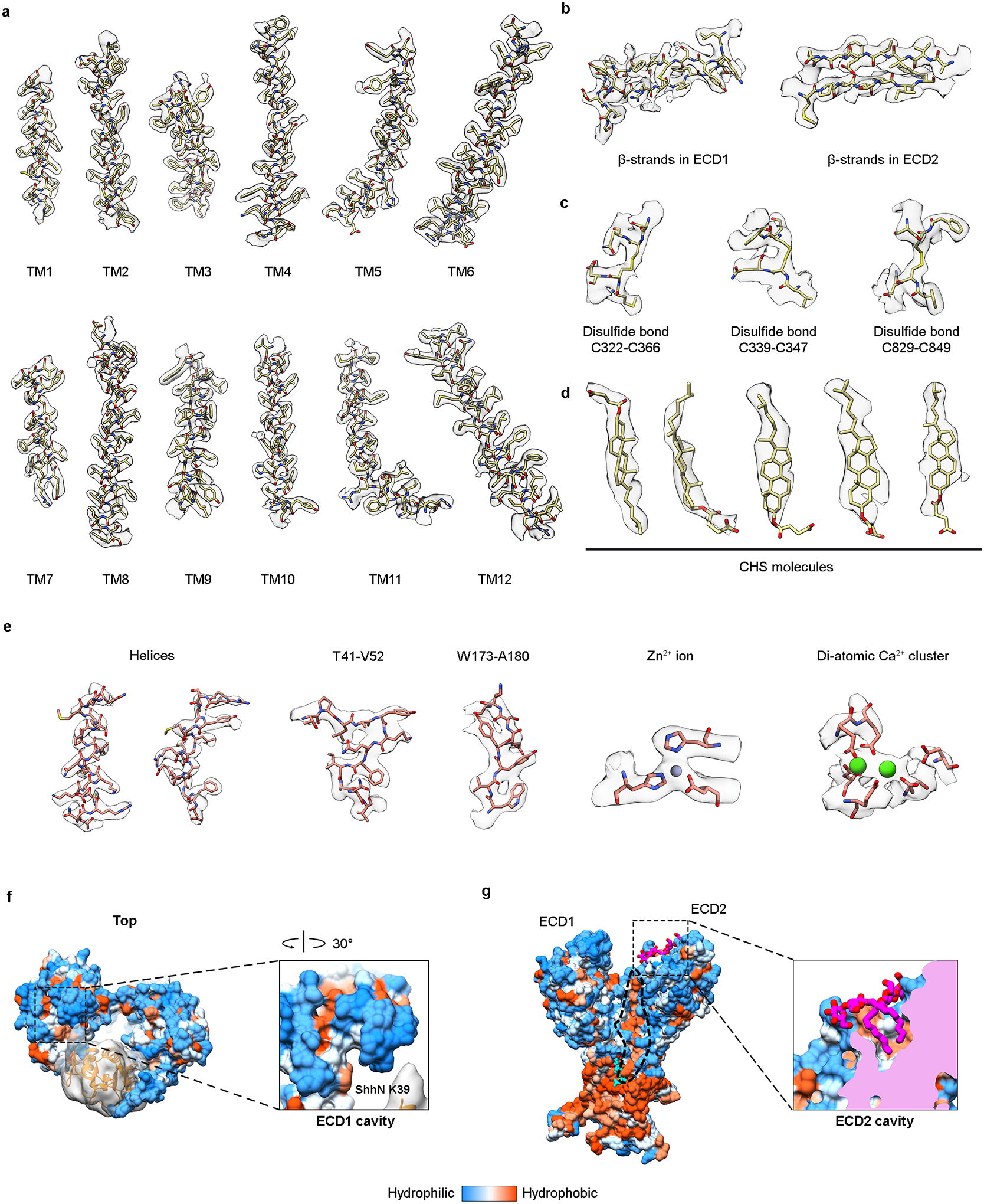 Extended Data Fig. 6 |