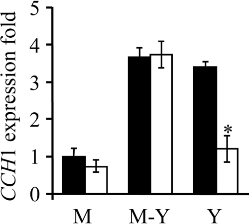 FIG. 6.