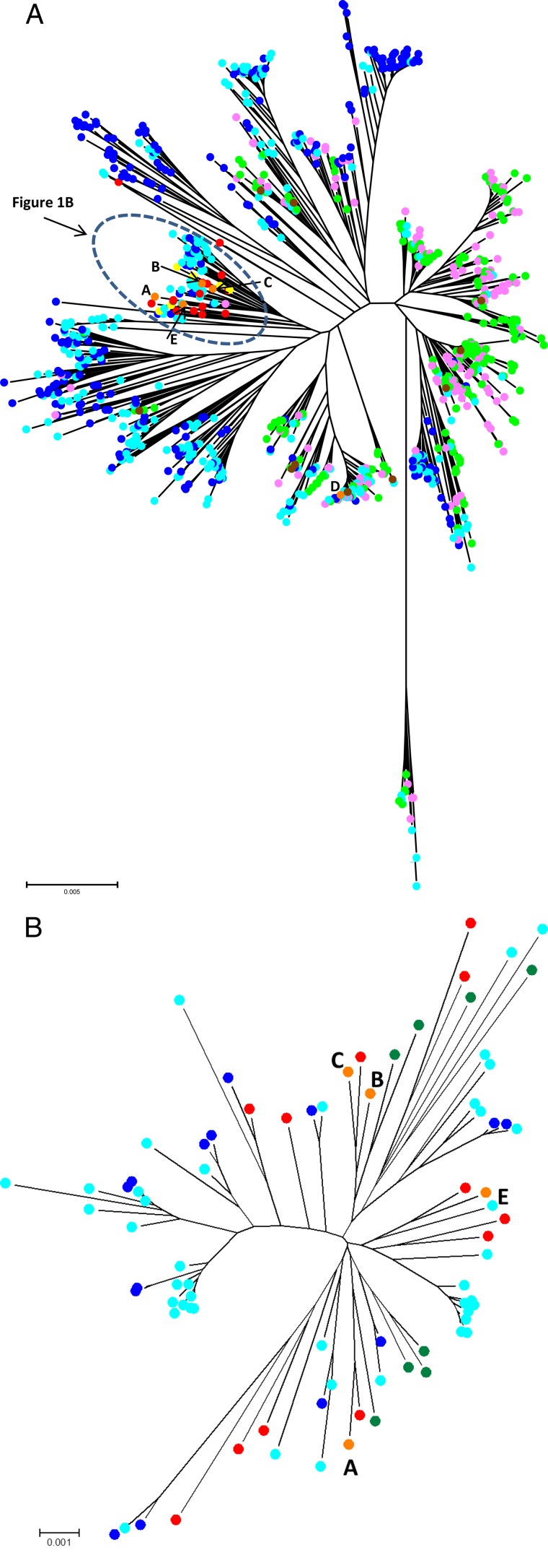 FIG 1