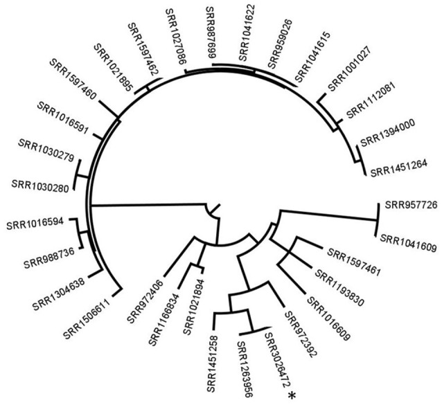 Figure 2