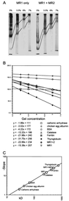 FIG. 3