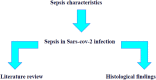 Image, graphical abstract