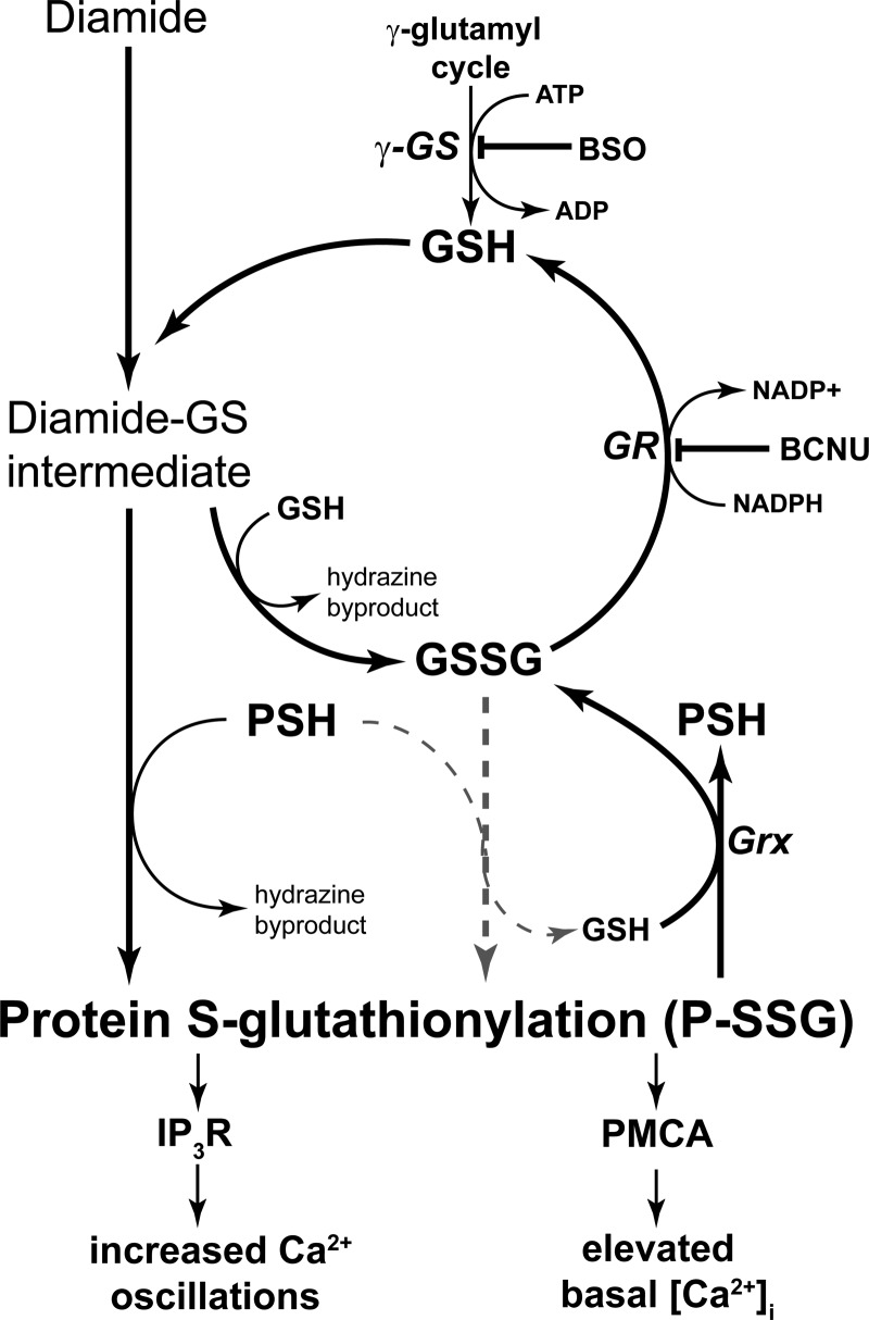 Fig. 11.