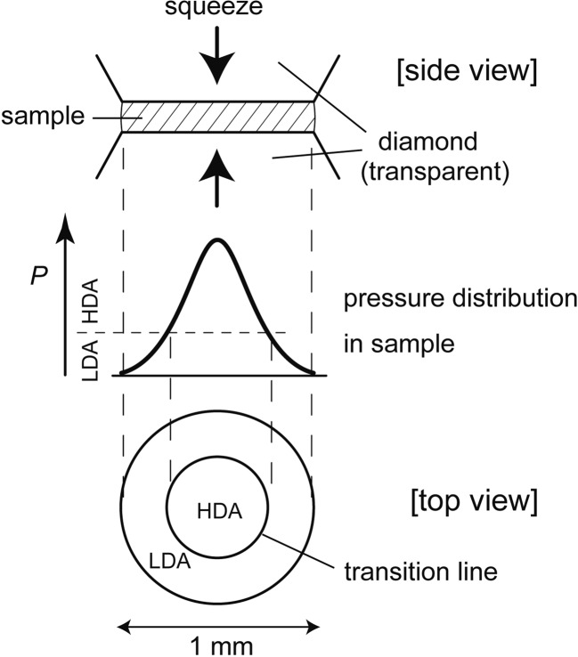 Fig. 9