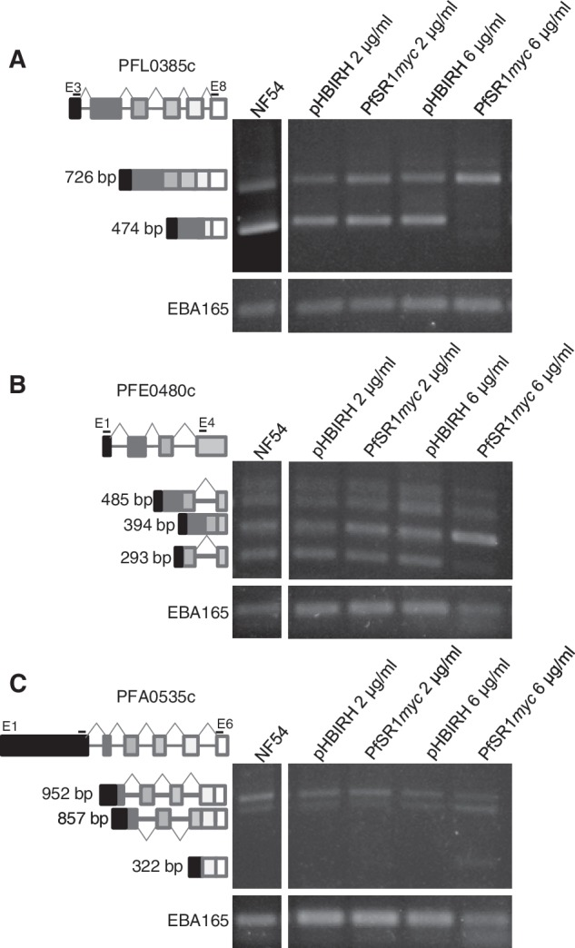 Figure 6.