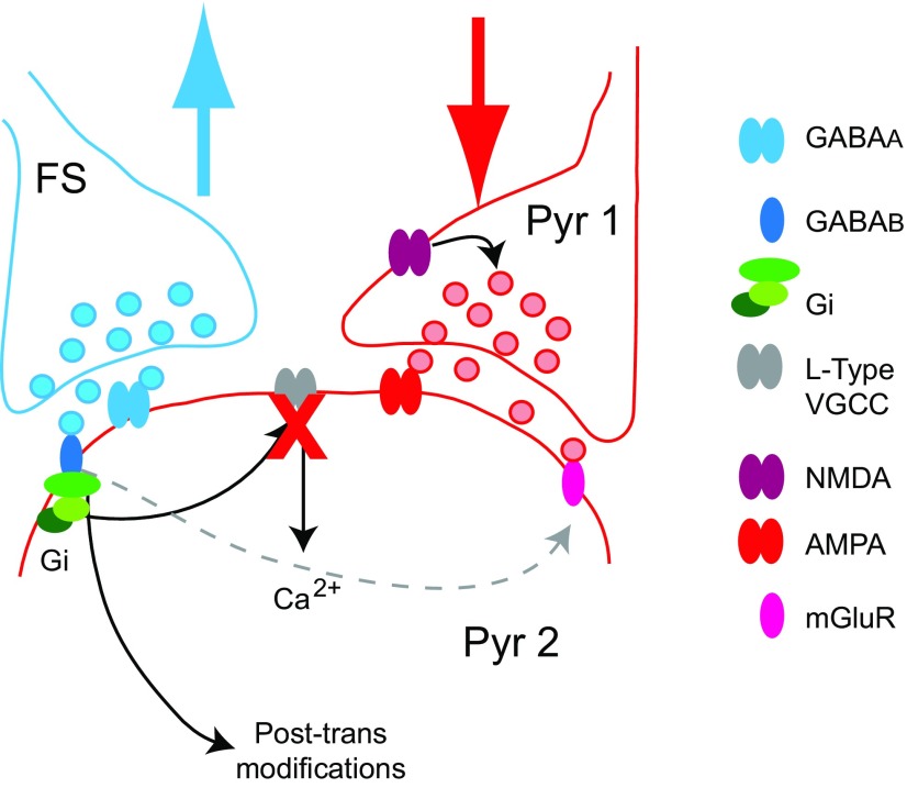 Figure 12.