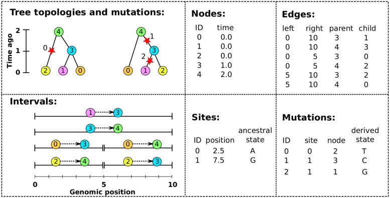 Fig 3