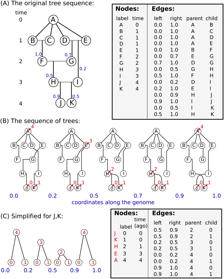 Fig 5