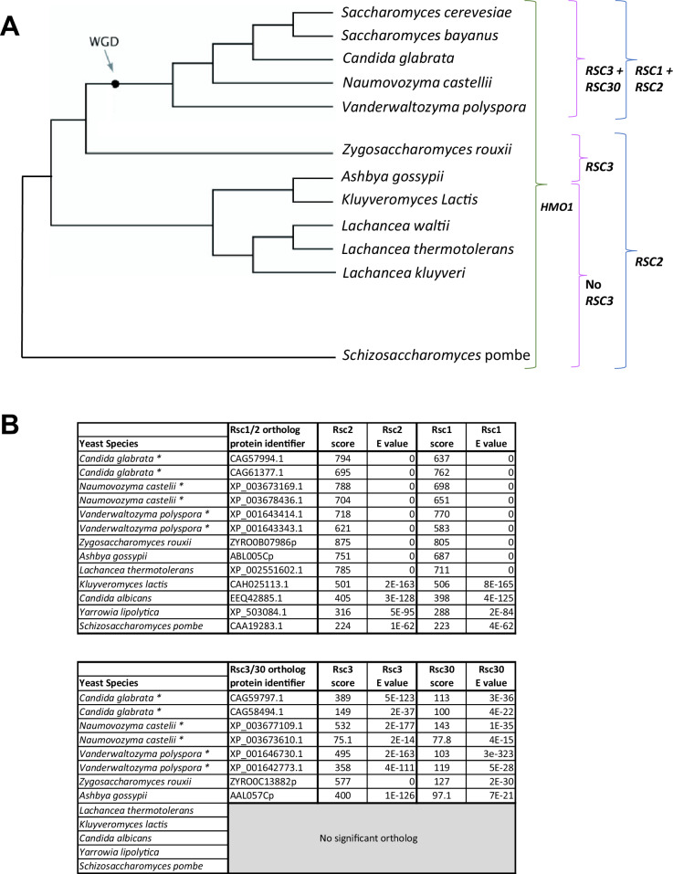 Figure 5—figure supplement 3.