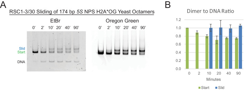 Figure 2—figure supplement 3.