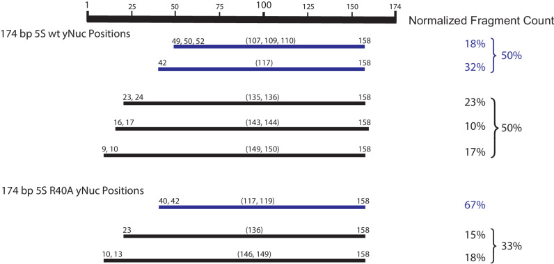 Figure 3—figure supplement 5.