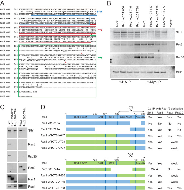 Figure 1—figure supplement 2.