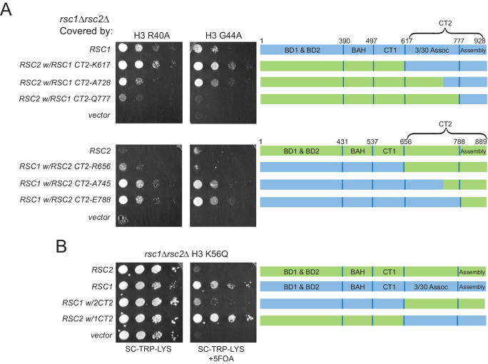 Figure 3—figure supplement 2.