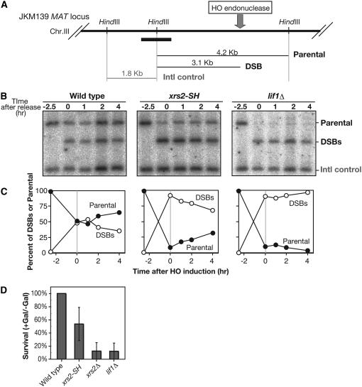 Figure 2.—