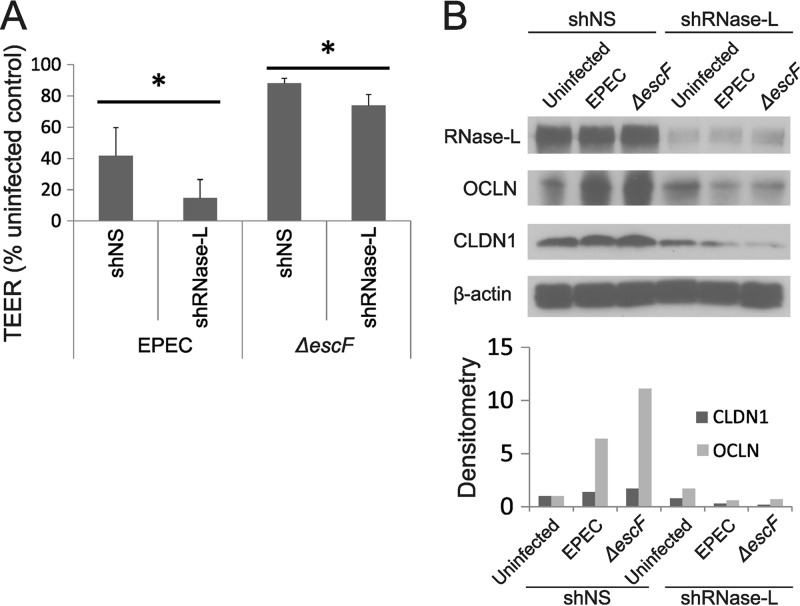 FIG 6