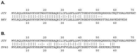 FIG. 9.