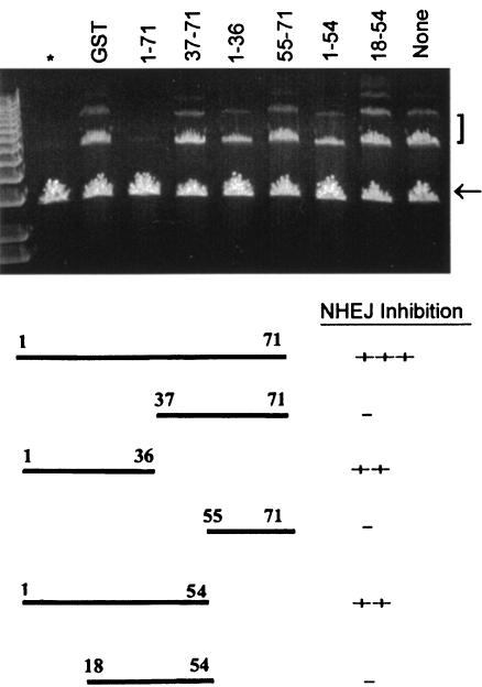 FIG. 8.