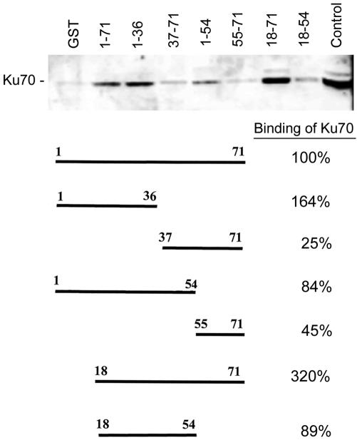 FIG. 7.