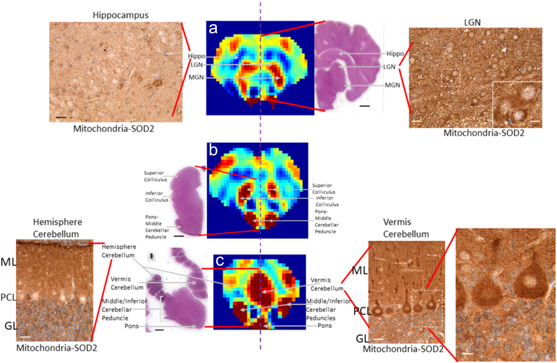 Figure 2: