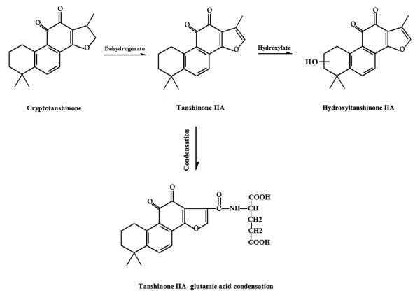 Fig.4