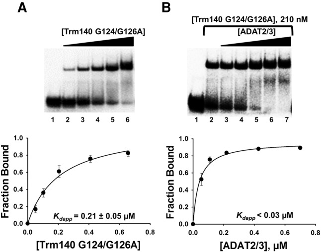 FIGURE 4.