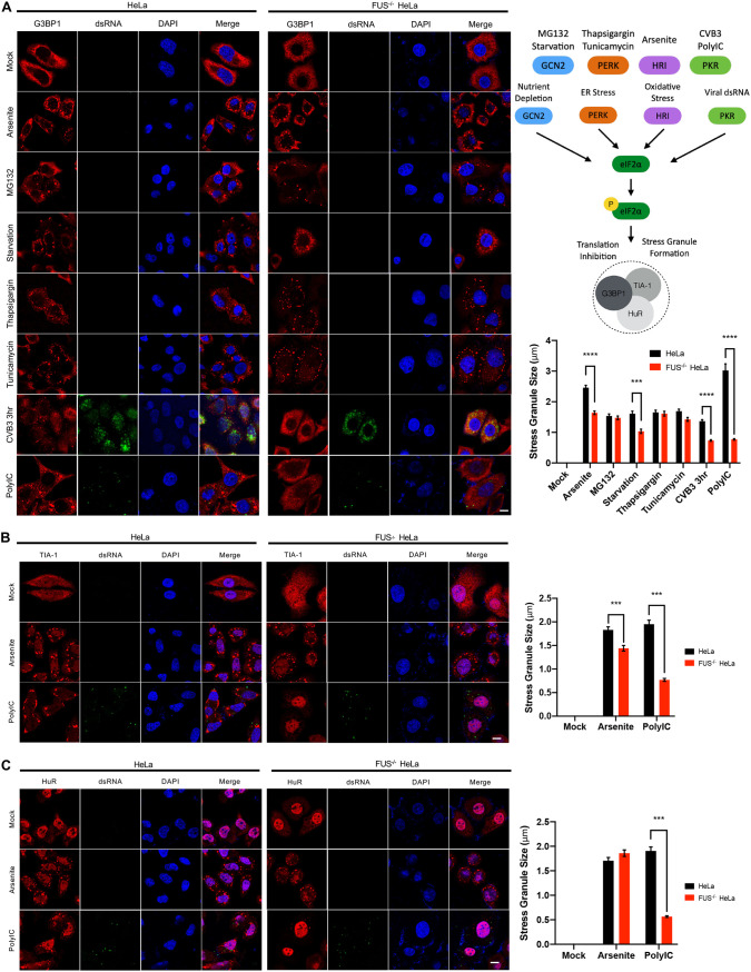 FIG 6