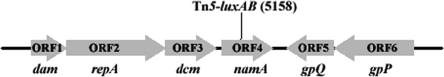 FIG. 2.