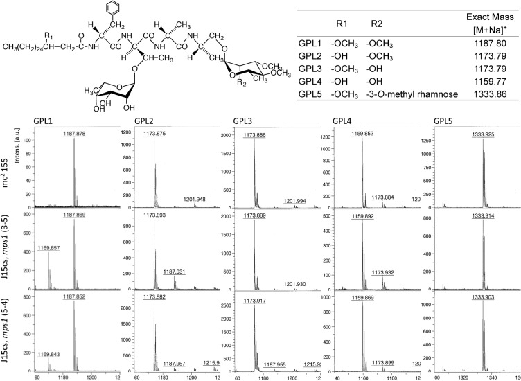 Fig 4