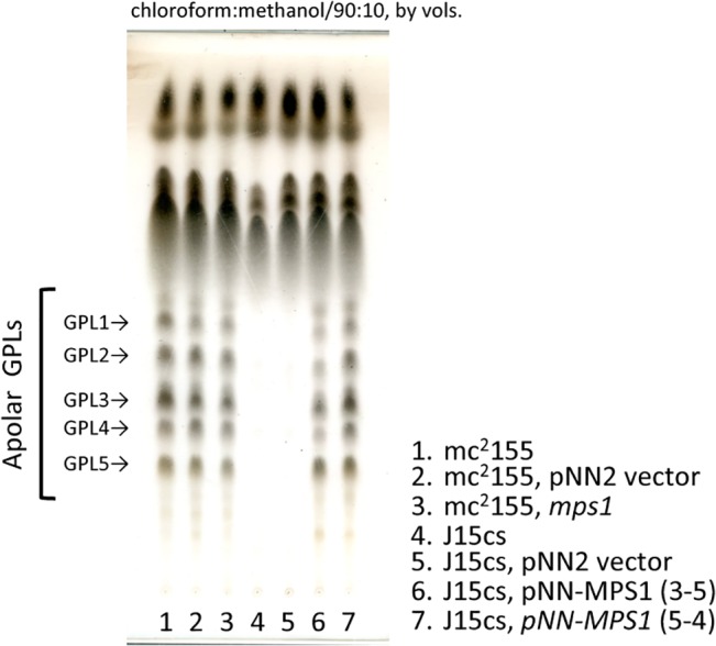 Fig 3