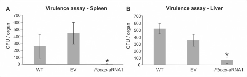 Fig 5