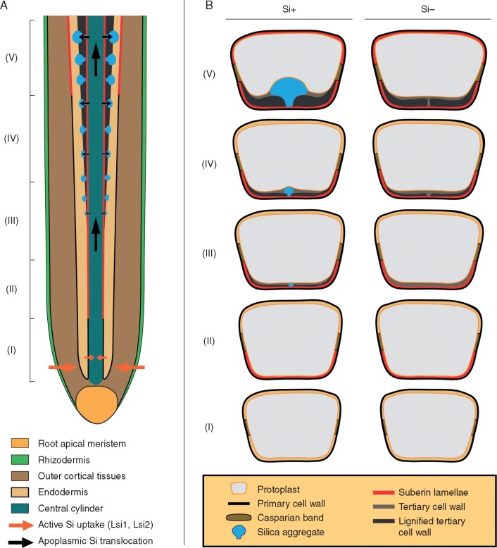 Fig. 10.