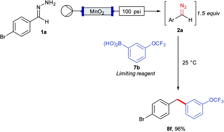 Scheme 5