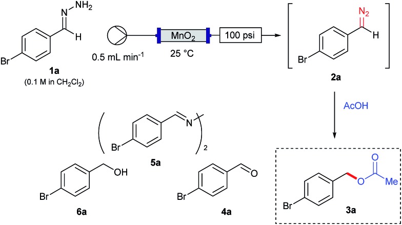 Scheme 3